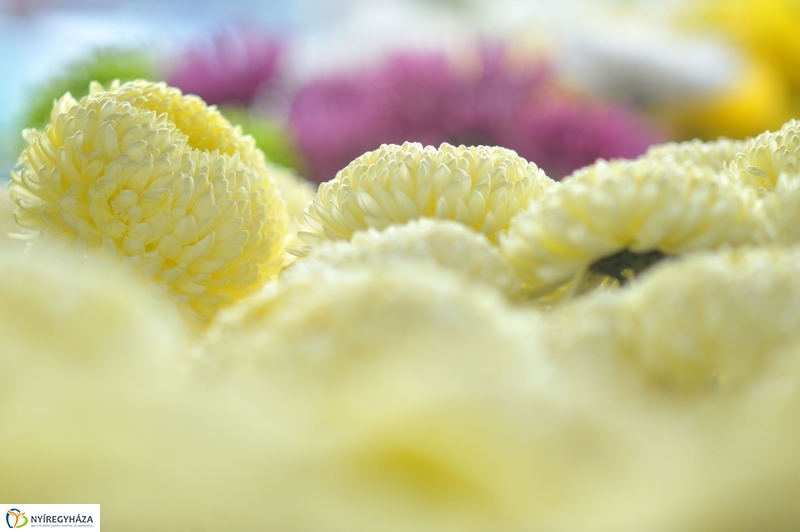 Búza téri piac ősszel - fotó Szarka Lajos