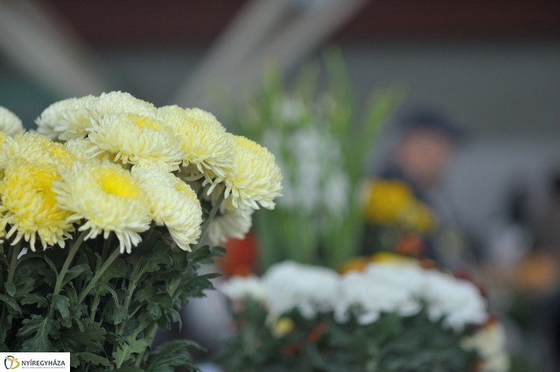 Búza téri piac ősszel - fotó Szarka Lajos