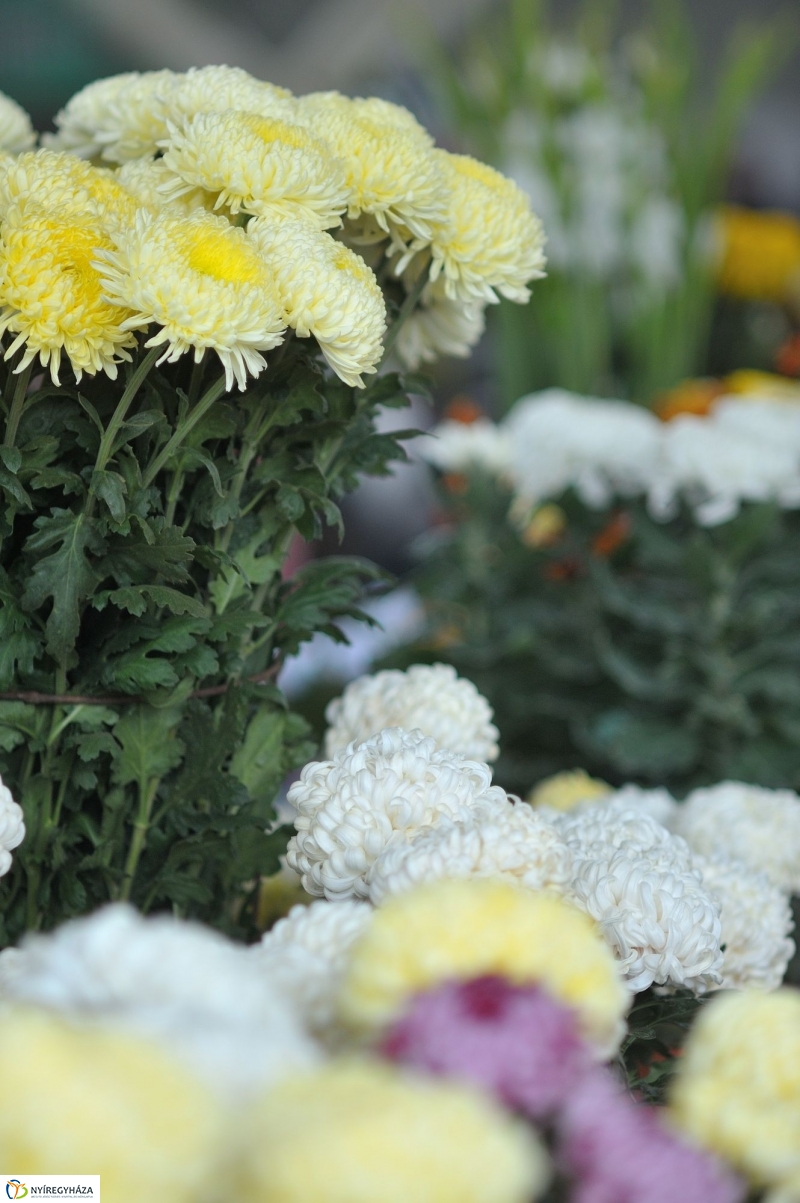 Búza téri piac ősszel - fotó Szarka Lajos