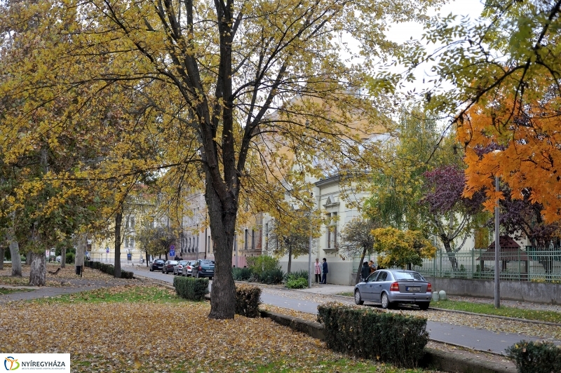 Sokarcú ősz Nyíregyházán - fotó Szarka Lajos