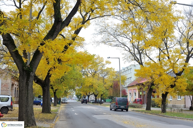 Sokarcú ősz Nyíregyházán - fotó Szarka Lajos