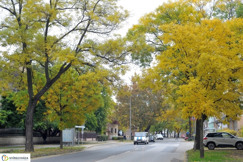 Sokarcú ősz Nyíregyházán - fotó Szarka Lajos