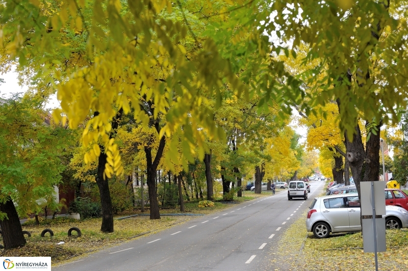 Sokarcú ősz Nyíregyházán - fotó Szarka Lajos