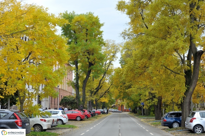 Sokarcú ősz Nyíregyházán - fotó Szarka Lajos