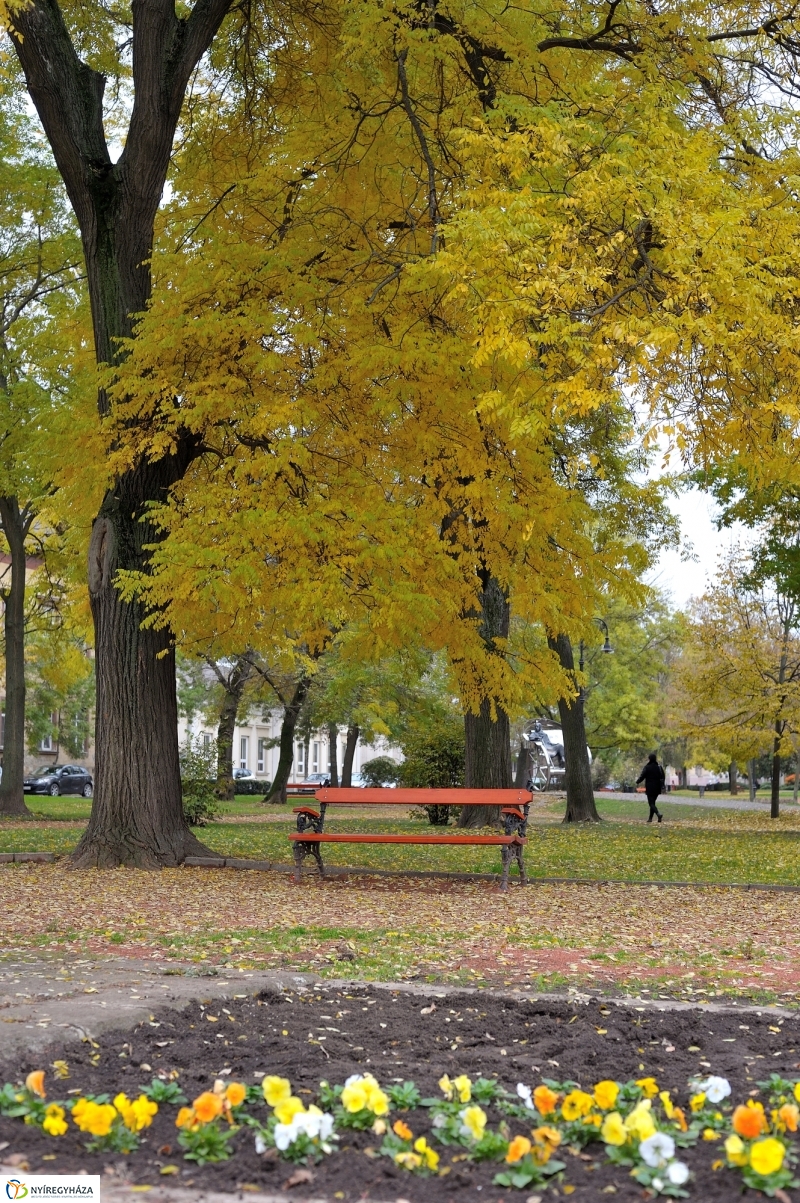 Sokarcú ősz Nyíregyházán - fotó Szarka Lajos