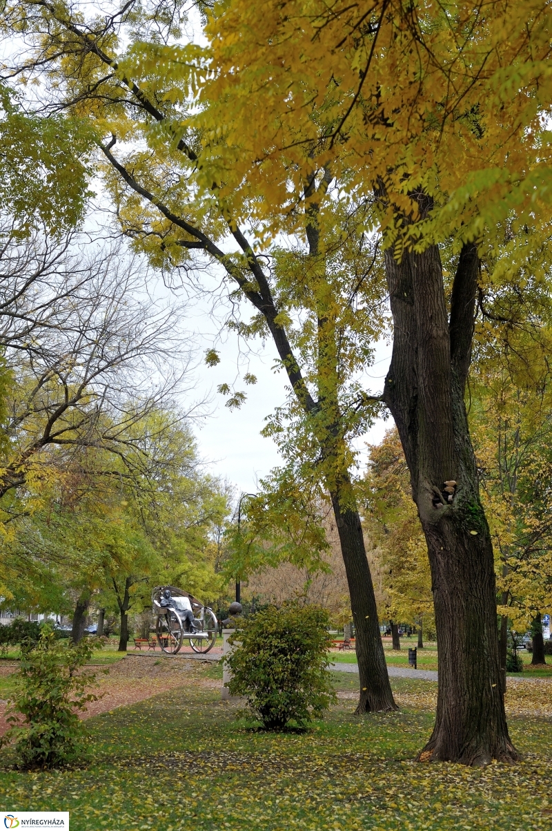 Sokarcú ősz Nyíregyházán - fotó Szarka Lajos