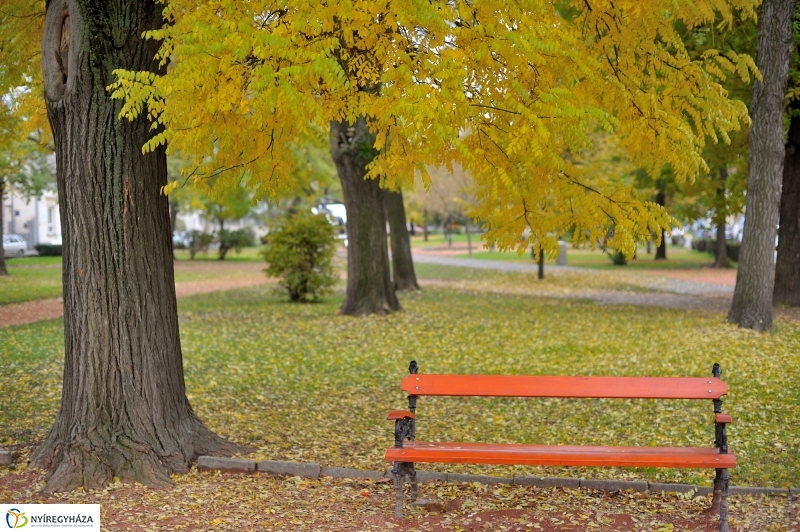 Sokarcú ősz Nyíregyházán - fotó Szarka Lajos