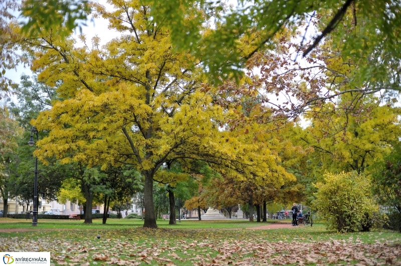 Sokarcú ősz Nyíregyházán - fotó Szarka Lajos