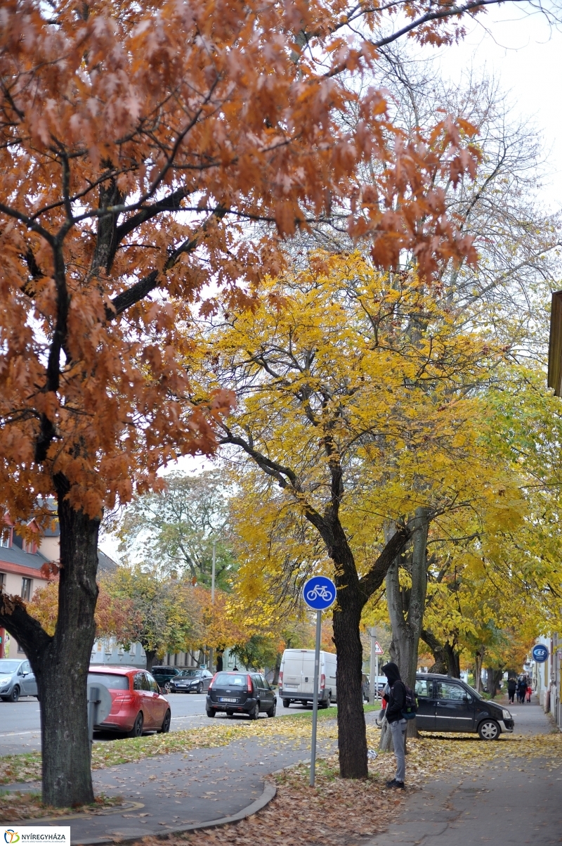 Sokarcú ősz Nyíregyházán - fotó Szarka Lajos