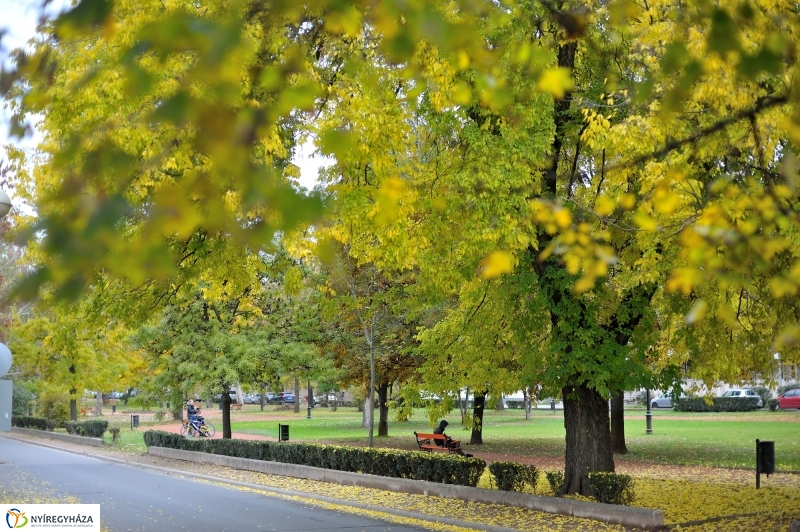 Sokarcú ősz Nyíregyházán - fotó Szarka Lajos