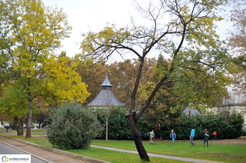Sokarcú ősz Nyíregyházán - fotó Szarka Lajos