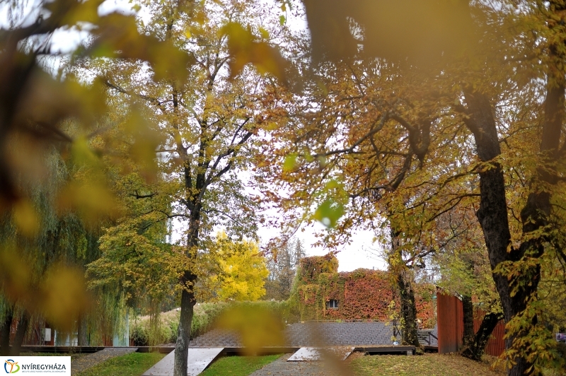 Sokarcú ősz Nyíregyházán - fotó Szarka Lajos