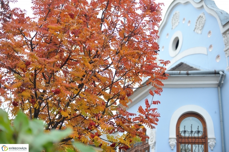 Sokarcú ősz Nyíregyházán - fotó Szarka Lajos
