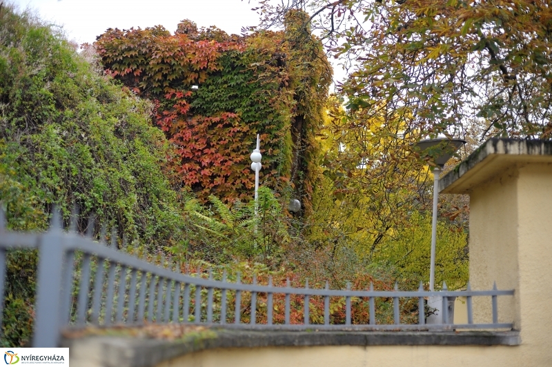 Sokarcú ősz Nyíregyházán - fotó Szarka Lajos