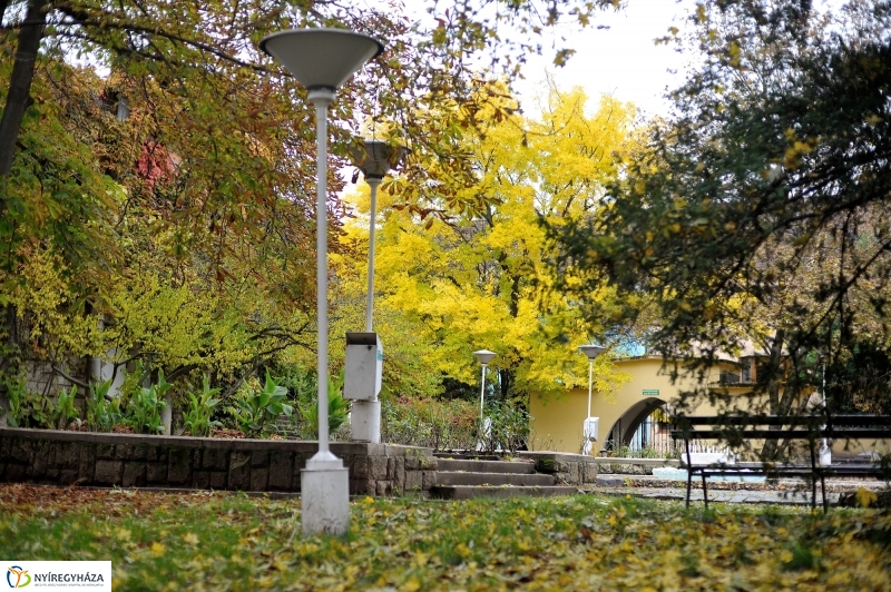 Sokarcú ősz Nyíregyházán - fotó Szarka Lajos