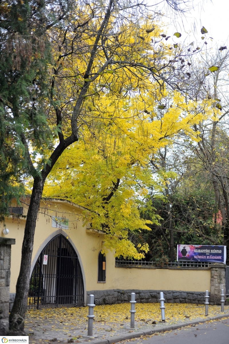 Sokarcú ősz Nyíregyházán - fotó Szarka Lajos