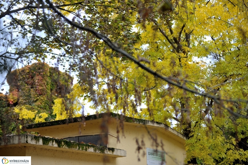 Sokarcú ősz Nyíregyházán - fotó Szarka Lajos
