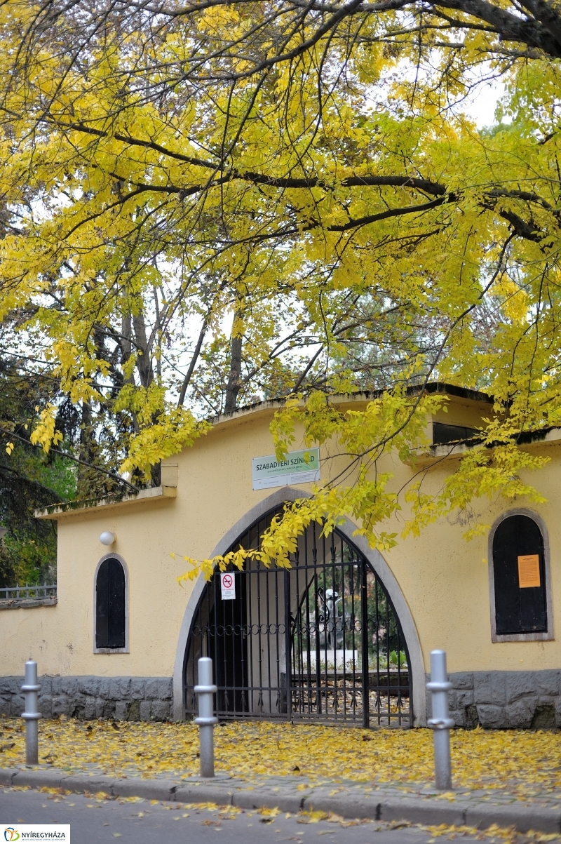 Sokarcú ősz Nyíregyházán - fotó Szarka Lajos