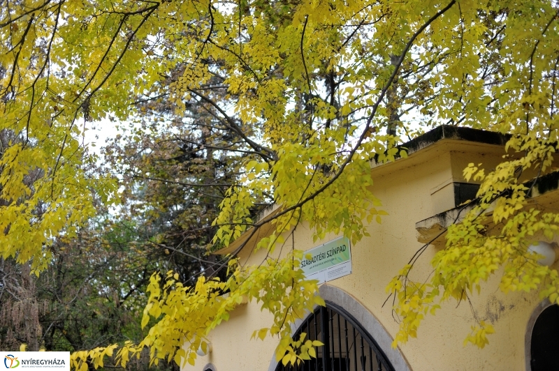 Sokarcú ősz Nyíregyházán - fotó Szarka Lajos