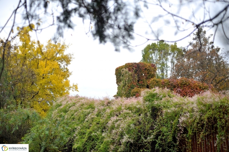 Sokarcú ősz Nyíregyházán - fotó Szarka Lajos