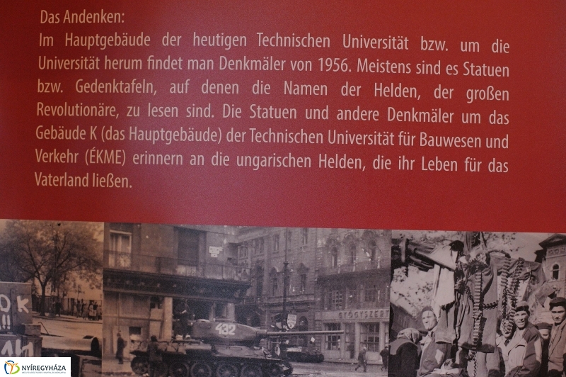 Osztrák nemzeti ünnep a Városházán - fotó Szarka Lajos