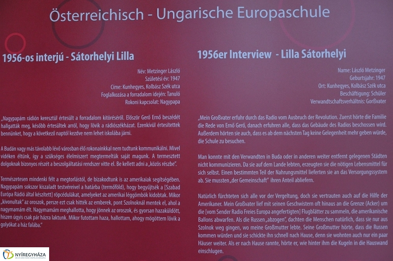 Osztrák nemzeti ünnep a Városházán - fotó Szarka Lajos