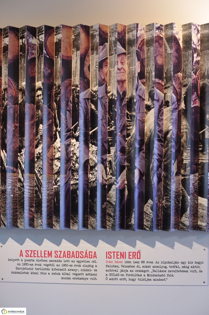 Barakk kiállítás Nyíregyházán - fotó Szarka Lajos