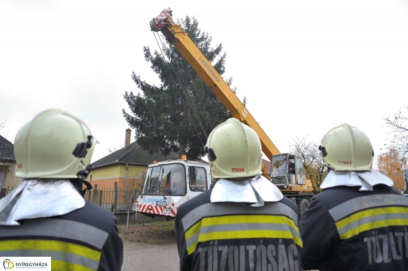 Karácsonyfa érkezett a Kossuth-térre - fotó Szarka Lajos