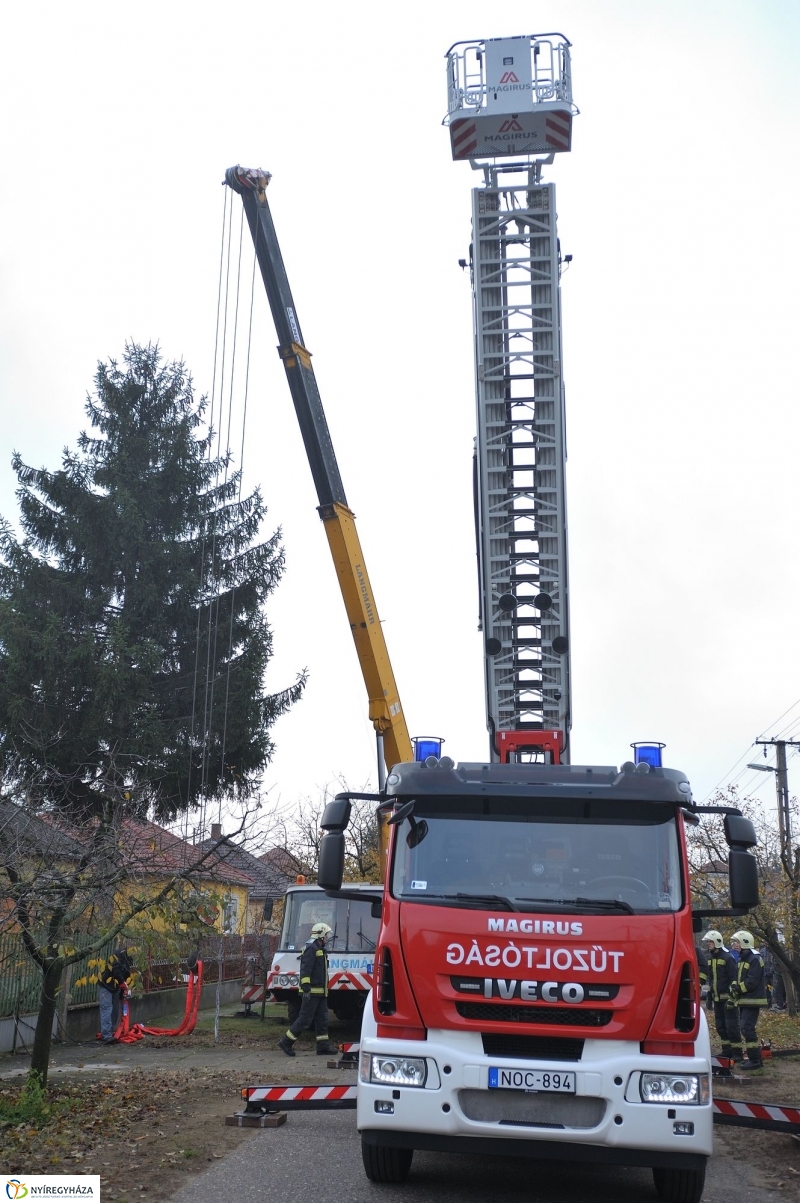 Karácsonyfa érkezett a Kossuth-térre - fotó Szarka Lajos