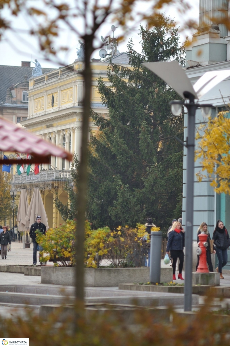 Karácsonyfa érkezett a Kossuth-térre - fotó Szarka Lajos