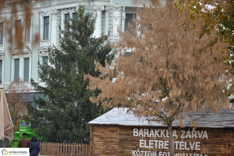 Karácsonyfa érkezett a Kossuth-térre - fotó Szarka Lajos