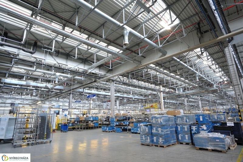 Pillanatképek az Electroluxnál - fotó Szarka Lajos