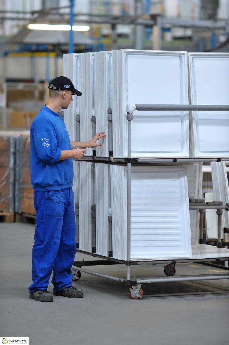 Pillanatképek az Electroluxnál - fotó Szarka Lajos