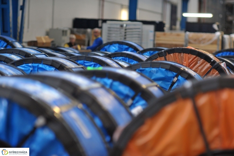 Pillanatképek az Electroluxnál - fotó Szarka Lajos