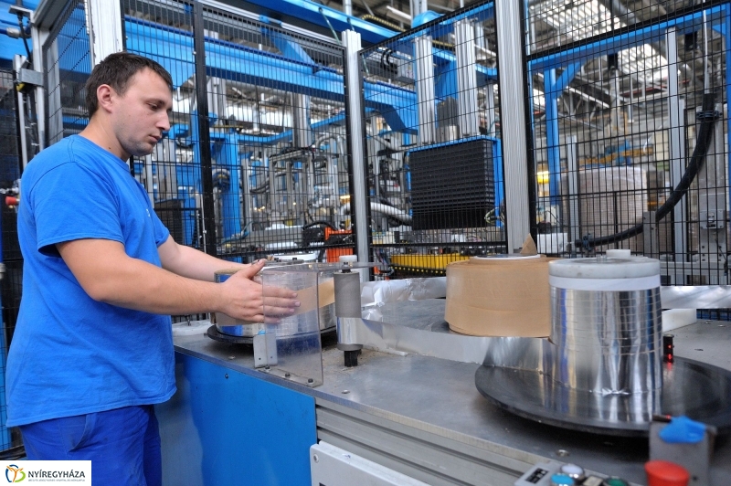 Pillanatképek az Electroluxnál - fotó Szarka Lajos