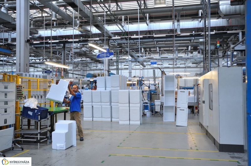 Pillanatképek az Electroluxnál - fotó Szarka Lajos