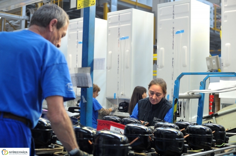 Pillanatképek az Electroluxnál - fotó Szarka Lajos