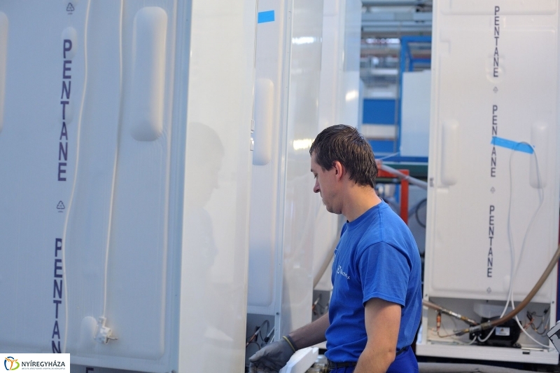 Pillanatképek az Electroluxnál - fotó Szarka Lajos