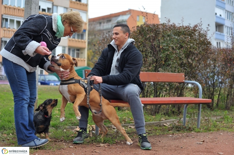 Kutyafuttató átadás a Széna téren - fotó Szarka Lajos