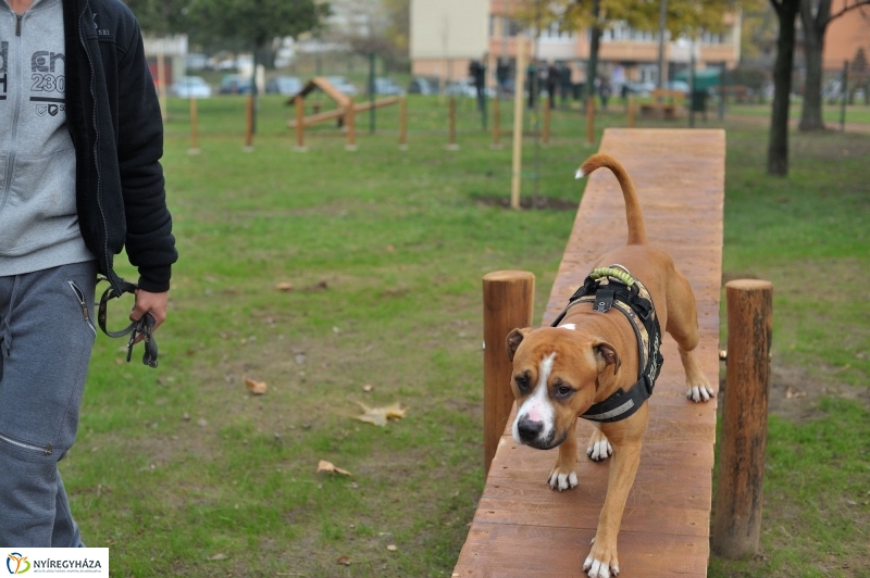 Kutyafuttató átadás a Széna téren - fotó Szarka Lajos