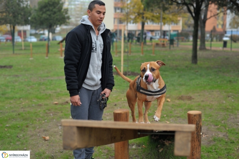Kutyafuttató átadás a Széna téren - fotó Szarka Lajos