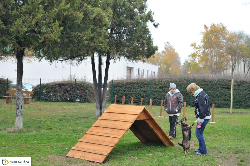 Kutyafuttató átadás a Széna téren - fotó Szarka Lajos