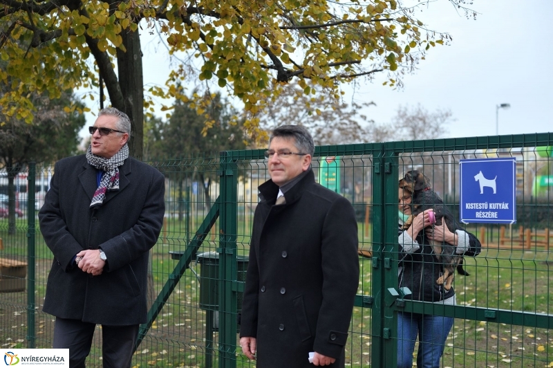 Kutyafuttató átadás a Széna téren - fotó Szarka Lajos