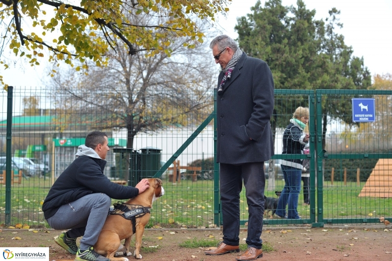 Kutyafuttató átadás a Széna téren - fotó Szarka Lajos
