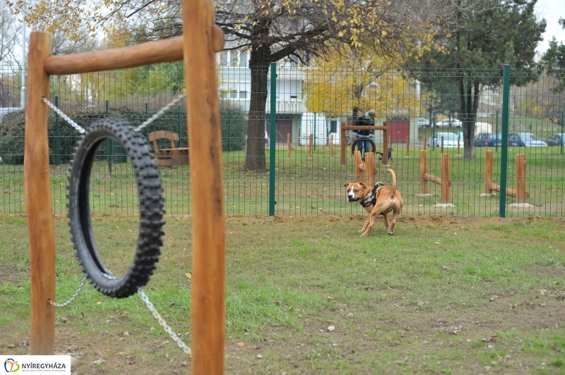 Kutyafuttató átadás a Széna téren - fotó Szarka Lajos