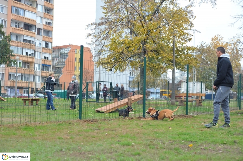 Kutyafuttató átadás a Széna téren - fotó Szarka Lajos
