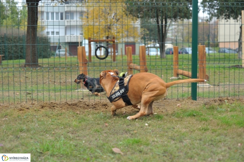 Kutyafuttató átadás a Széna téren - fotó Szarka Lajos