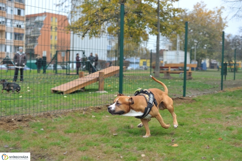 Kutyafuttató átadás a Széna téren - fotó Szarka Lajos