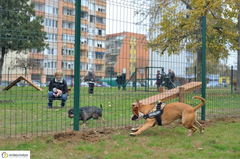 Kutyafuttató átadás a Széna téren - fotó Szarka Lajos