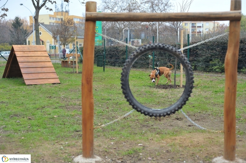 Kutyafuttató átadás a Széna téren - fotó Szarka Lajos
